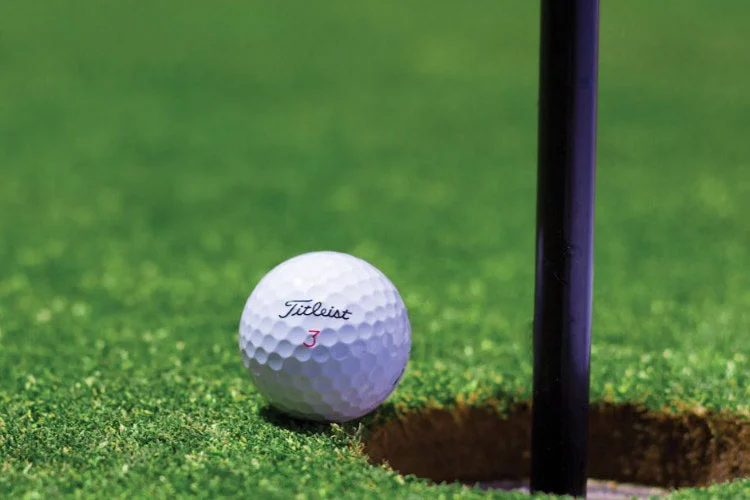 golf club sector