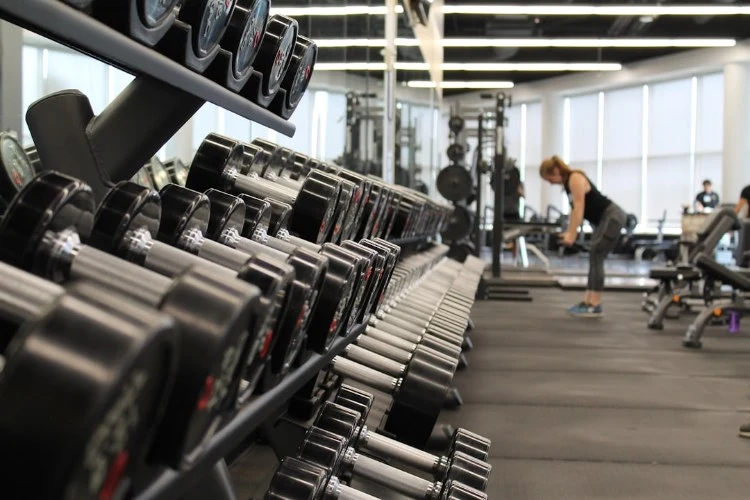 gym sector